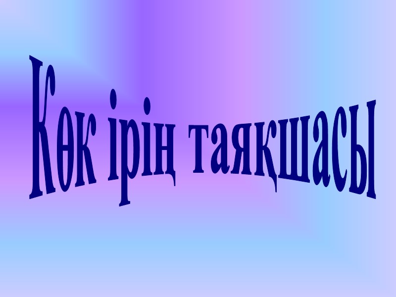 Көк ірің таяқшасы